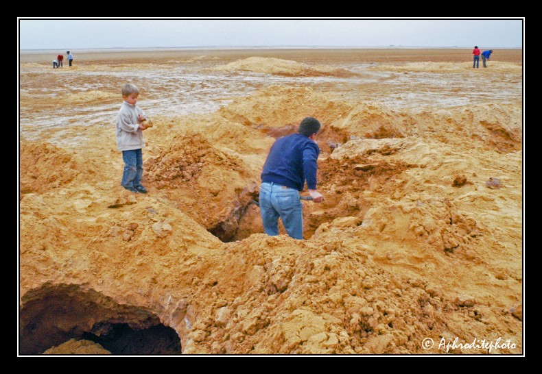 051 Gilles se transforme en terrassier et recherche une belle rose des sables